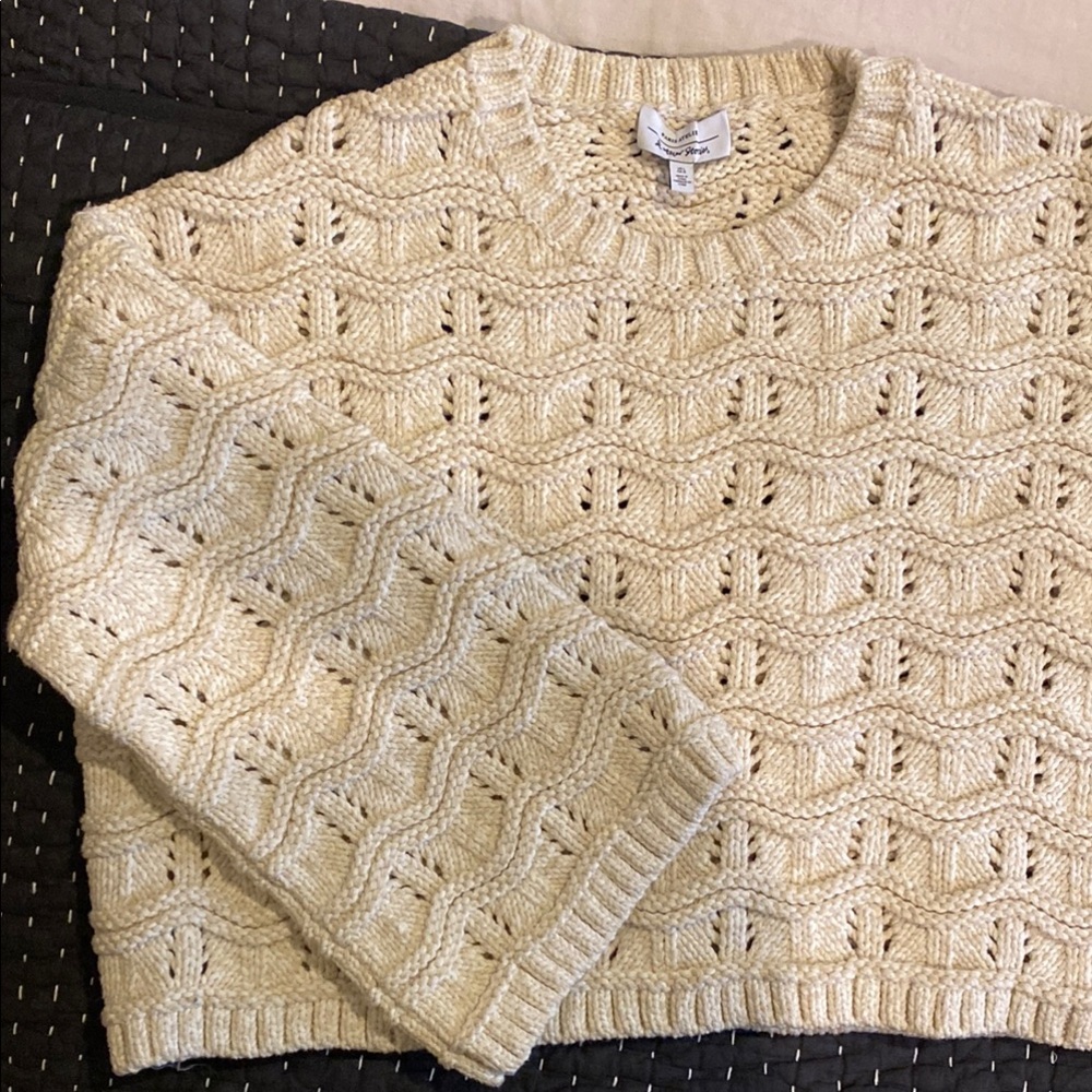 NWOT & Other Stories cropped fisherman sweater